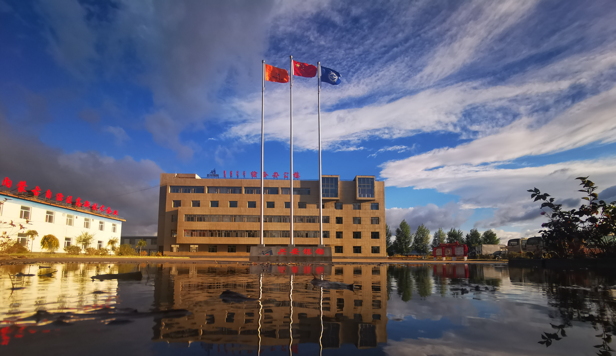 1775296509907069913.png auto